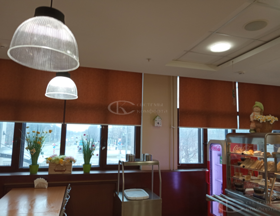 Жалюзи для школы